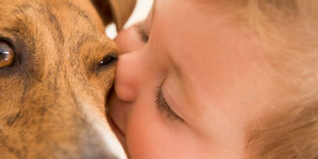 A close-up of a child gently pressing their face against a dog's face, showcasing a moment of affection. The child's eyes are closed, and the dog's eye and fur are visible in the frame.