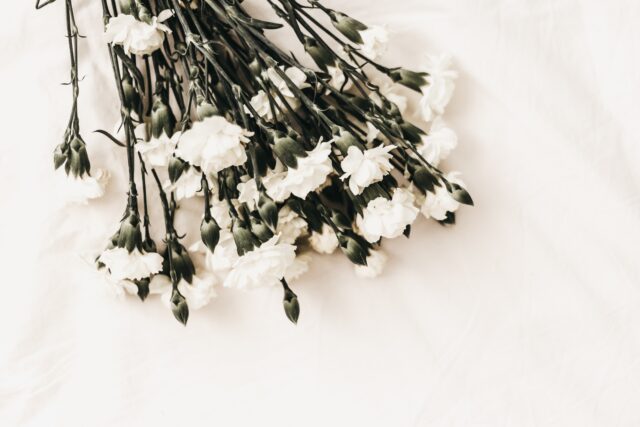 A bouquet of white carnations with green stems rests elegantly on a light-colored fabric surface, much like the compassionate touch of wrongful death attorneys amidst life's trials. The flowers are arranged casually, with some buds yet to bloom.